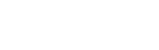 MTZ Firm